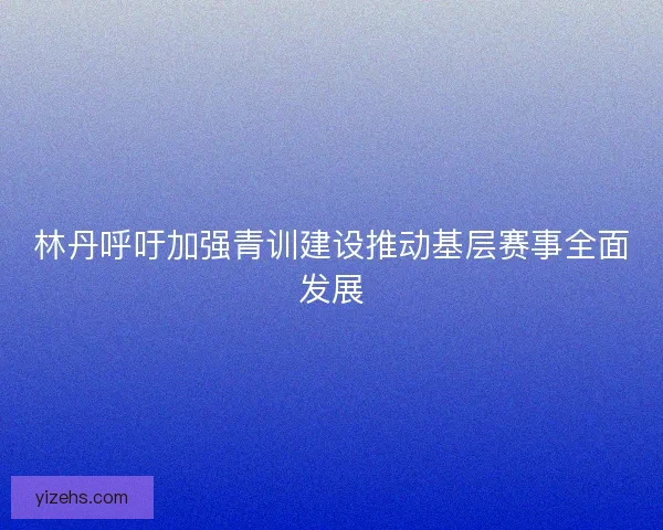 林丹呼吁加强青训建设推动基层赛事全面发展